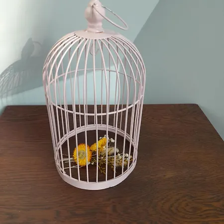 Aux Oiseaux Qui Chantent ! * Offranville