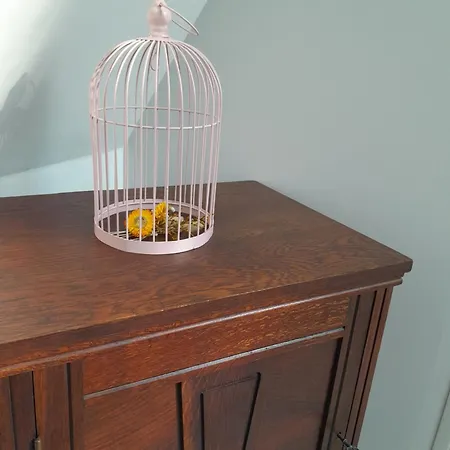 Aux Oiseaux Qui Chantent ! Holiday home