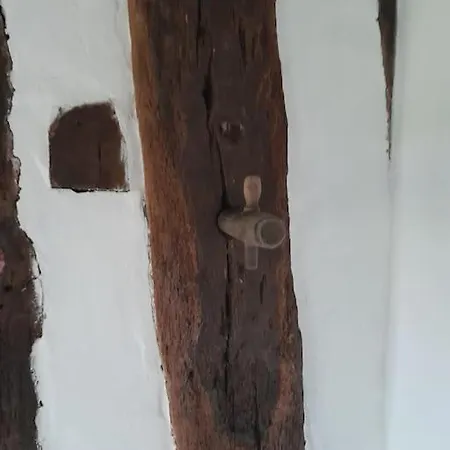 Aux Oiseaux Qui Chantent ! *